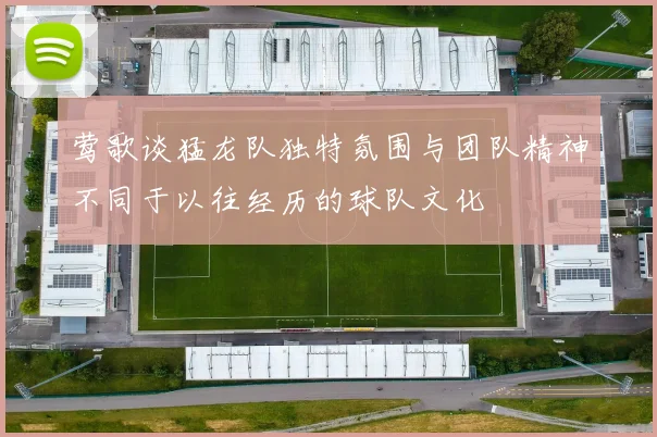 莺歌谈猛龙队独特氛围与团队精神不同于以往经历的球队文化