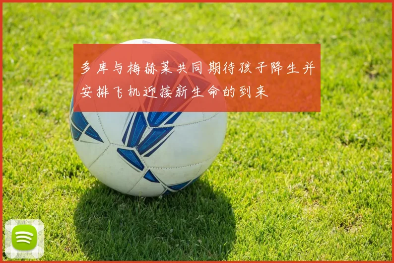 多库与梅赫莱共同期待孩子降生并安排飞机迎接新生命的到来