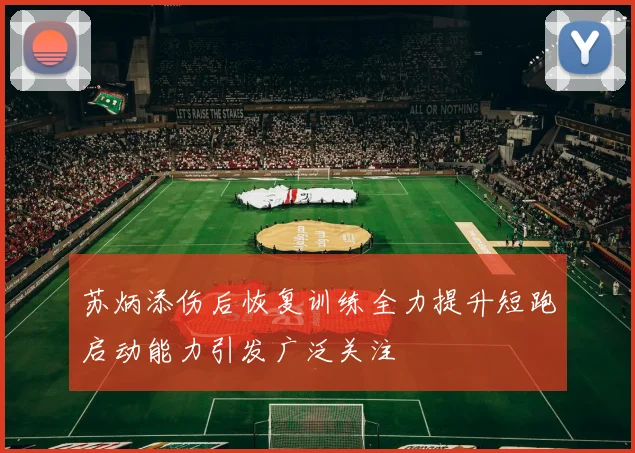 苏炳添伤后恢复训练全力提升短跑启动能力引发广泛关注
